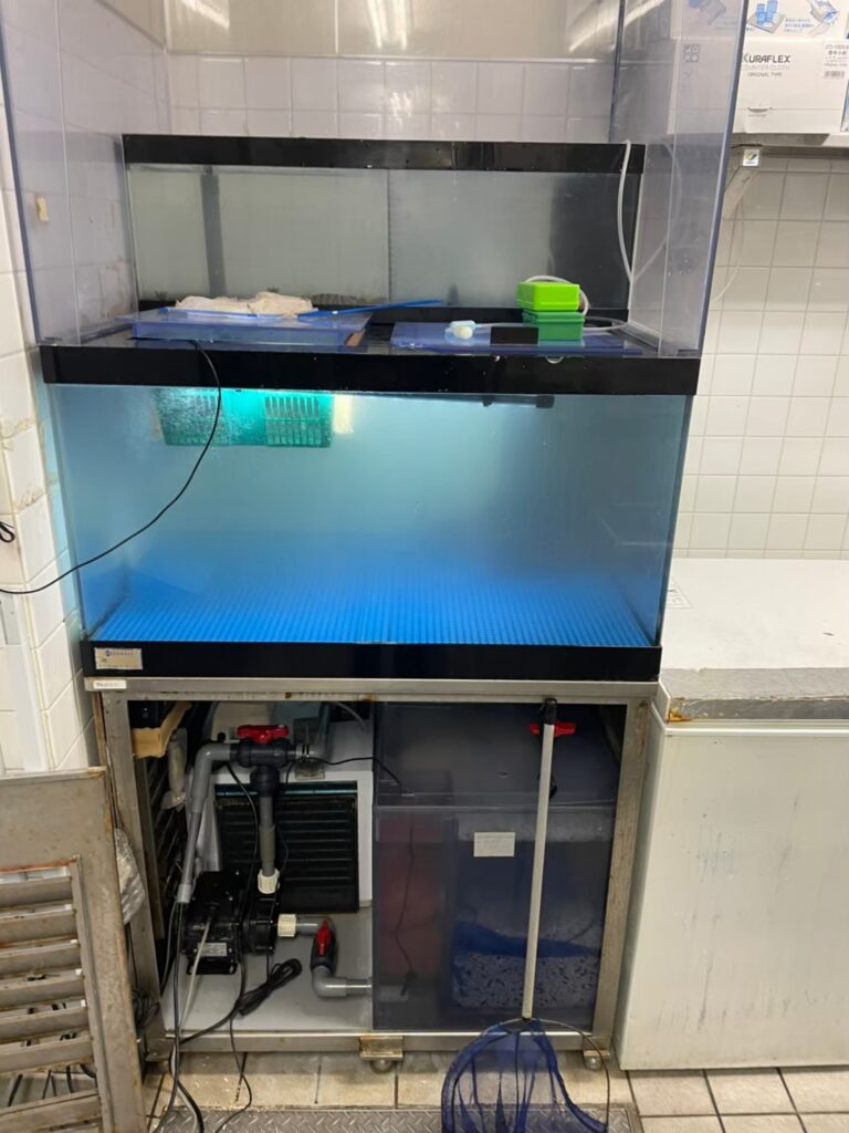 東京都　ホテル厨房　活魚水槽　メンテナンス